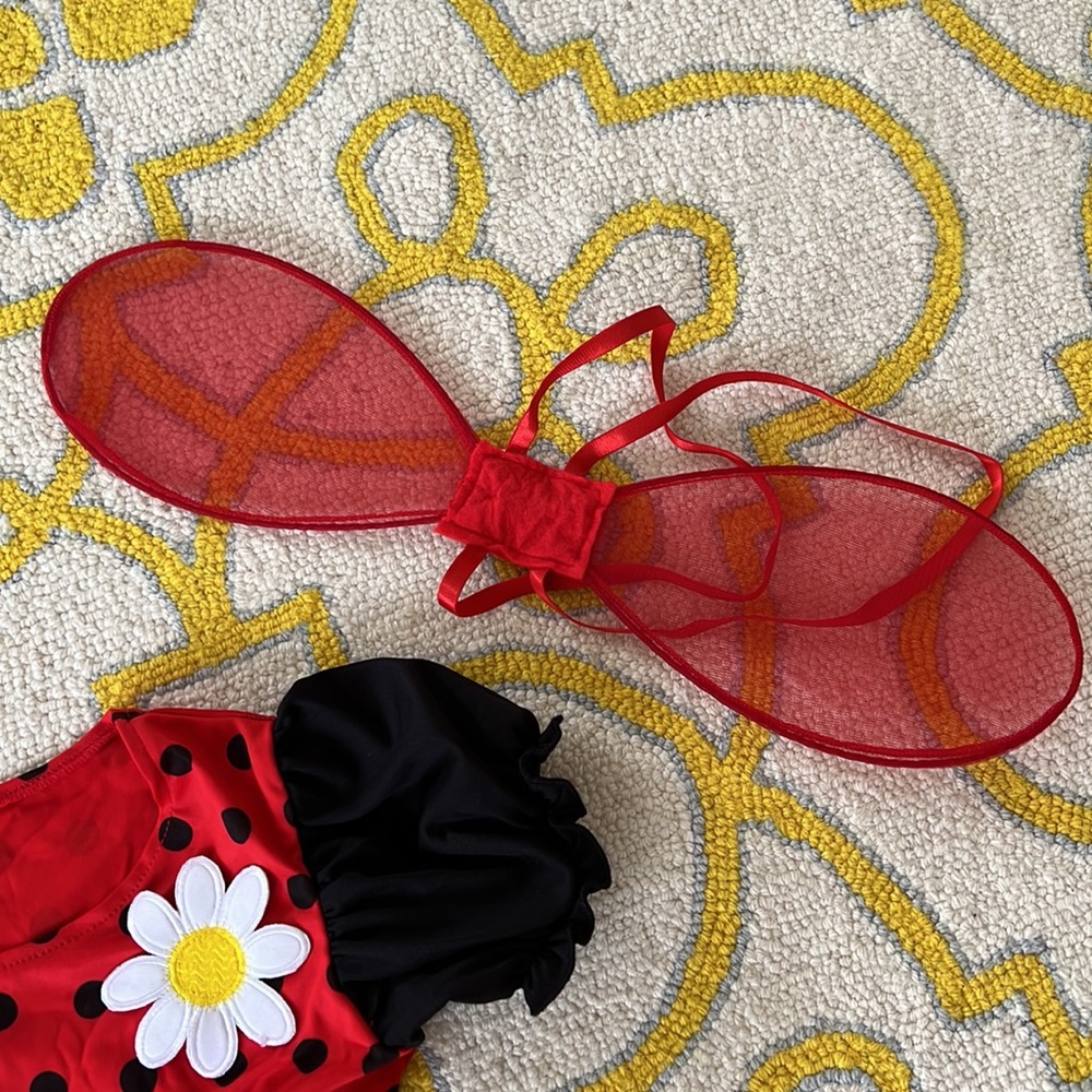 🐞Lady Bug Costume🐞 Sz L - Picture 5 of 7